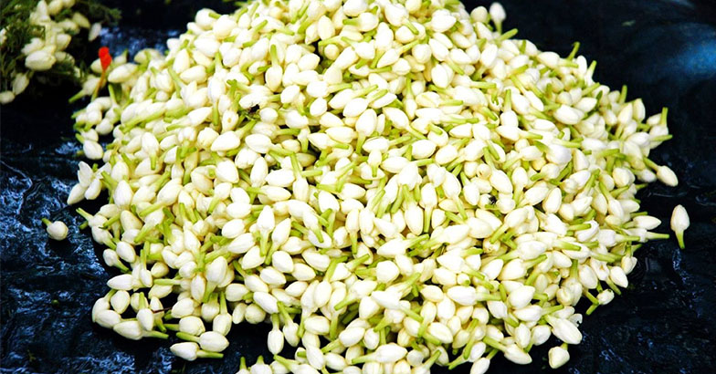 മുറ്റത്തെ മുല്ല നിറയെ പൂക്കള്‍