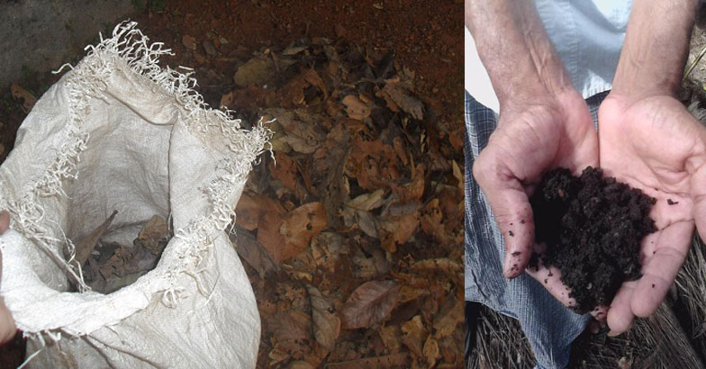 പച്ചക്കറിക്കൃഷി വിജയിപ്പിക്കാന്‍ കരിയില കമ്പോസ്റ്റ്