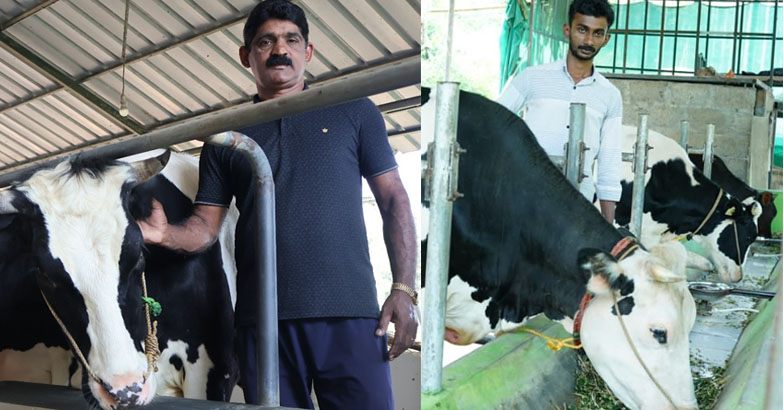 തങ്കച്ചന്‍ ക്ഷീരപ്രതിഭ ; ഡോണ്‍ മാത്യുവിന് ക്ഷീരരത്‌ന ;  ഐ.വി.എ ക്ഷീരപുരസ്‌കാരങ്ങള്‍ പ്രഖ്യാപിച്ചു