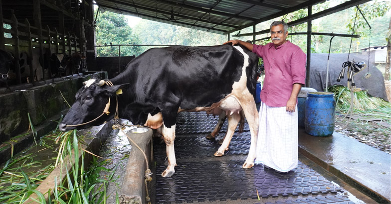 പശു പാല്‍ തരില്ല, സ്വയം നീന്തിയാല്‍ രക്ഷപ്പെടാം: ക്ഷീരമേഖല വിജയിക്കാന്‍ വ്യത്യസ്ത ആശയങ്ങളുമായി  ടിംസ്