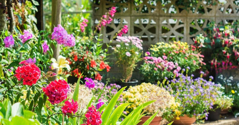 പൂന്തോട്ടം മനോഹരമാക്കാന്‍ പത്ത് മാര്‍ഗങ്ങള്‍ 