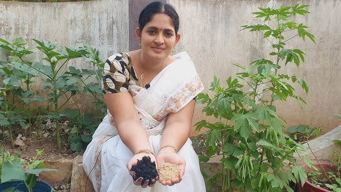 പച്ചക്കറിക്കൃഷി സൂപ്പറാക്കാന്‍ ഉമി