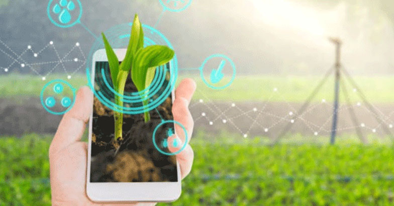 വിള വിവരങ്ങള്‍  വിരല്‍ത്തുമ്പില്‍:  വരുന്നു ഡിജിറ്റല്‍ ക്രോപ്പ് സര്‍വേ