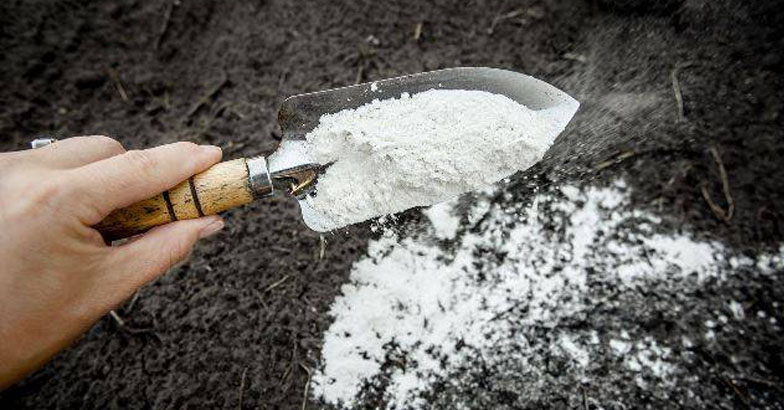 അമ്ലത നിയന്ത്രിക്കും : പക്ഷേ പ്രയോഗിക്കുമ്പോള്‍ ശ്രദ്ധിക്കണം