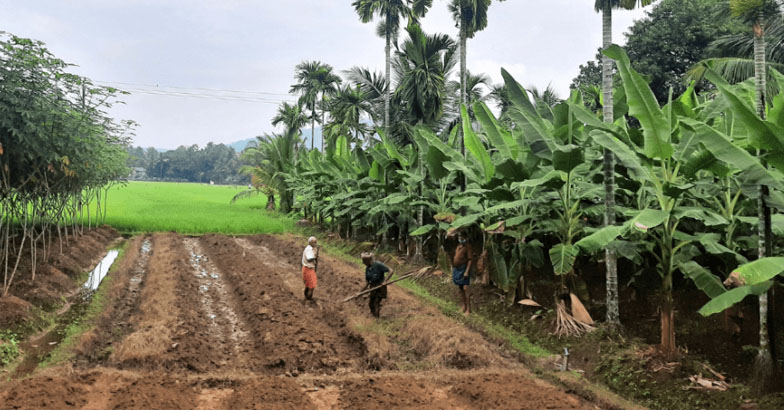 കൃഷിയില്‍ പുതിയ തുടക്കത്തിനു  സമയമായി, തുടക്കം നിലമൊരുക്കലില്‍