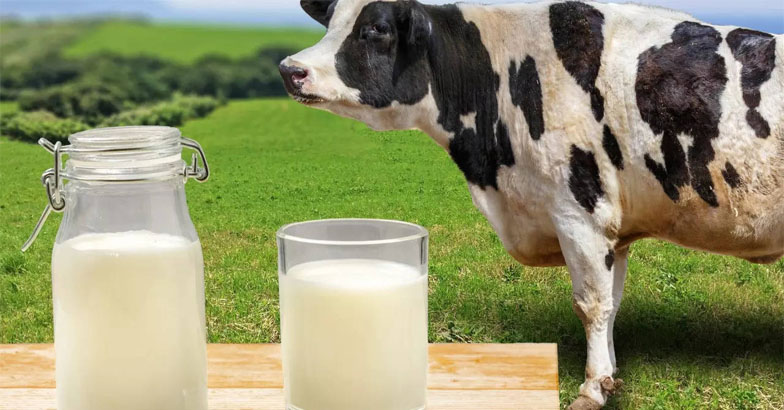  പാലുല്പാദനത്തില്‍ കുതിപ്പിനൊരുങ്ങി പരപ്പ ബ്ലോക്ക്; പാലാഴി പദ്ധതിയുമായി മൃഗസംരക്ഷണവകുപ്പ്